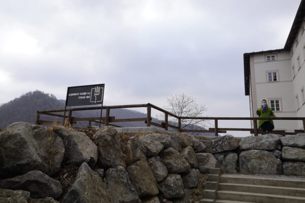 IMG_20201116_091105