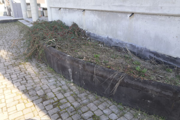 foto piazzale_Pagina_5